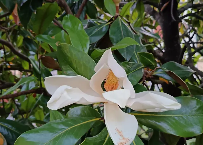 Διαμέρισμα I Querceti Camugnano