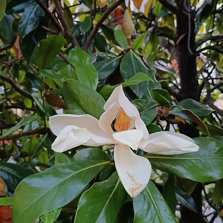 Apartmán I Querceti Camugnano